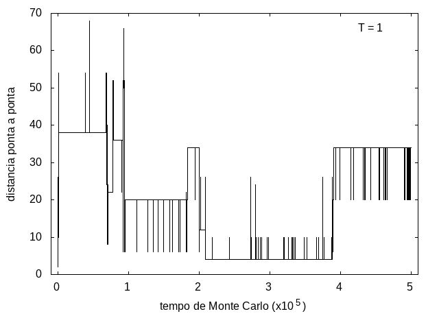 Figura 10: Tamanho da cadeia em função do tempo, T = 1