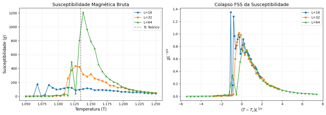 Susceptibilidade magnética bruta pela temperatura e seu colapso, com L=16,32,64 e Q=2.